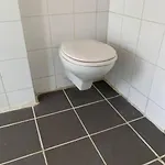 Hd